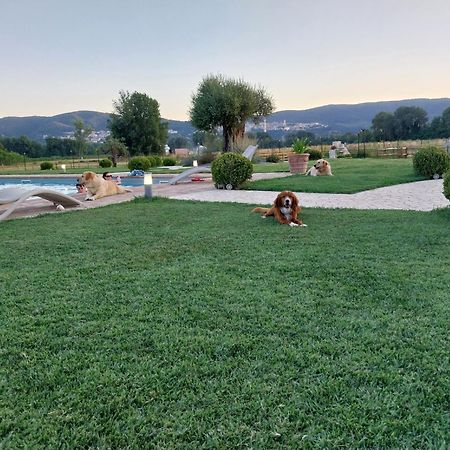 Agriturismo Tenuta Filippi Нарни Екстериор снимка
