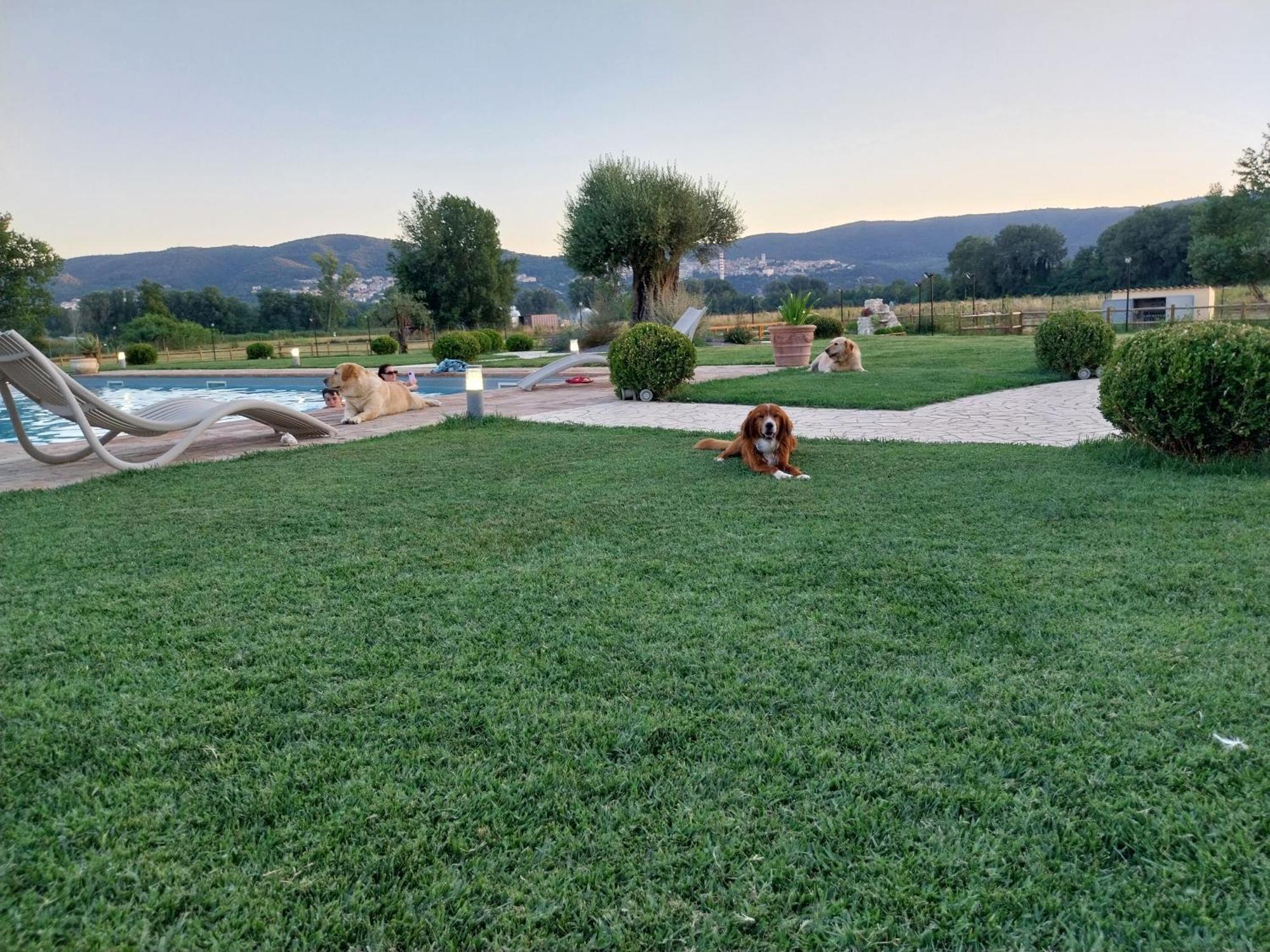 Agriturismo Tenuta Filippi Нарни Екстериор снимка