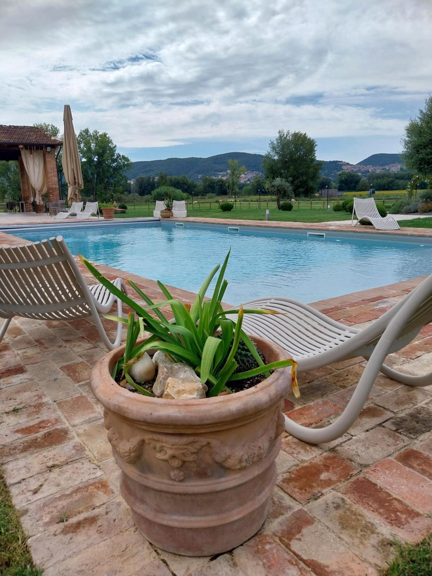 Agriturismo Tenuta Filippi Нарни Екстериор снимка