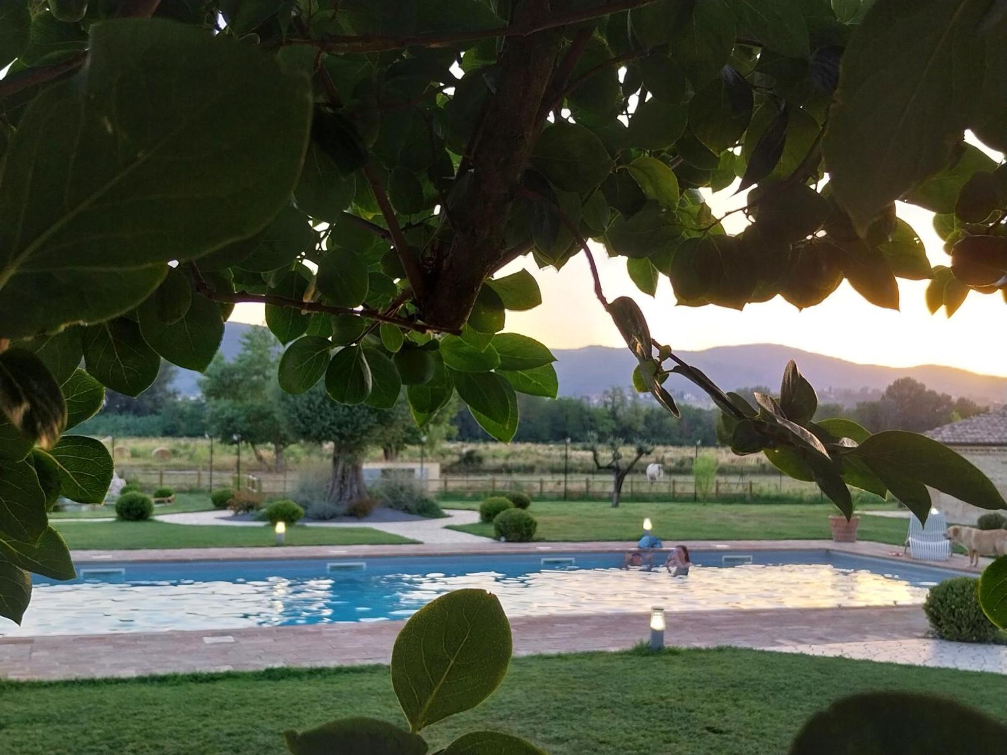 Agriturismo Tenuta Filippi Нарни Екстериор снимка